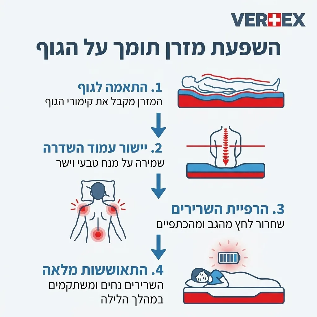 אינפוגרפיקה — השפעת מזרן תומך על הגוף: התאמה לגוף, יישור עמוד השדרה, הרפיית השרירים, התאוששות מלאה