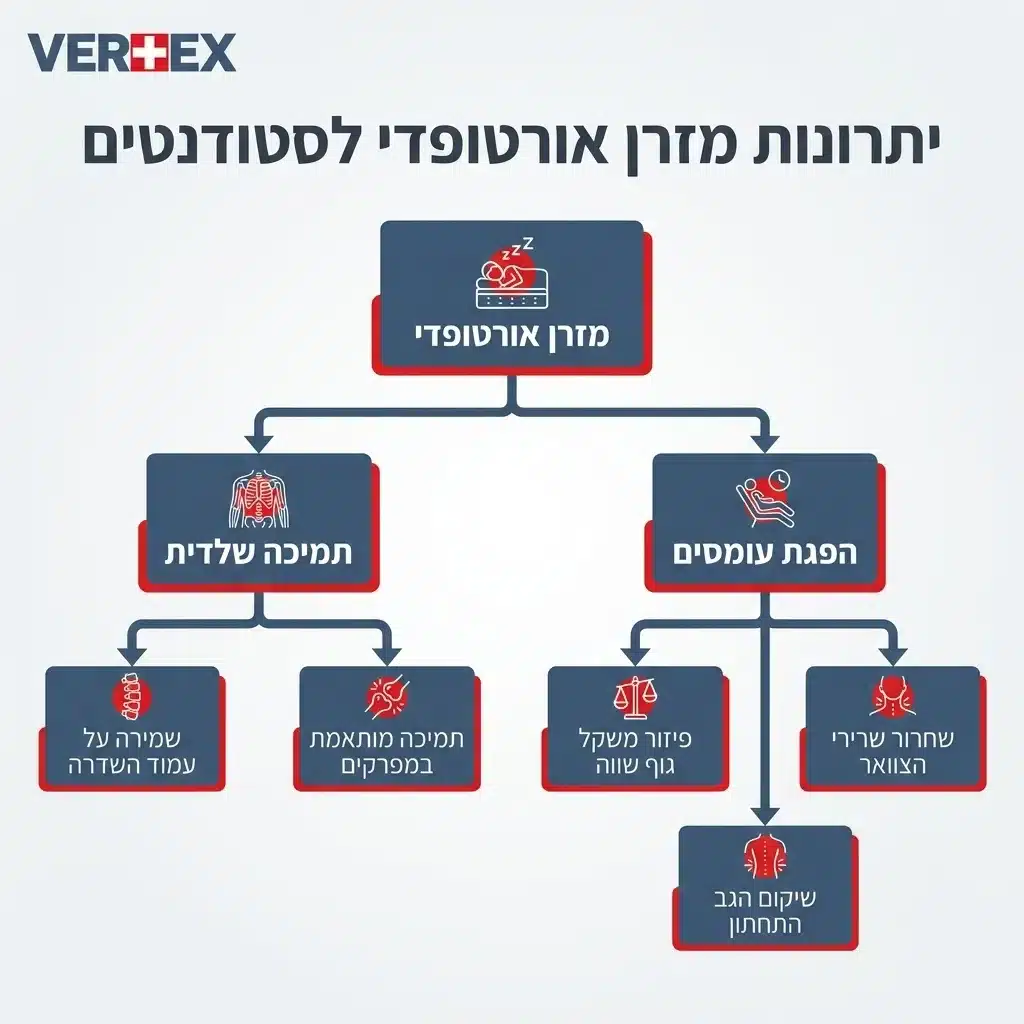אינפוגרפיקה — יתרונות מזרן אורטופדי לסטודנטים: מזרן אורטופדי